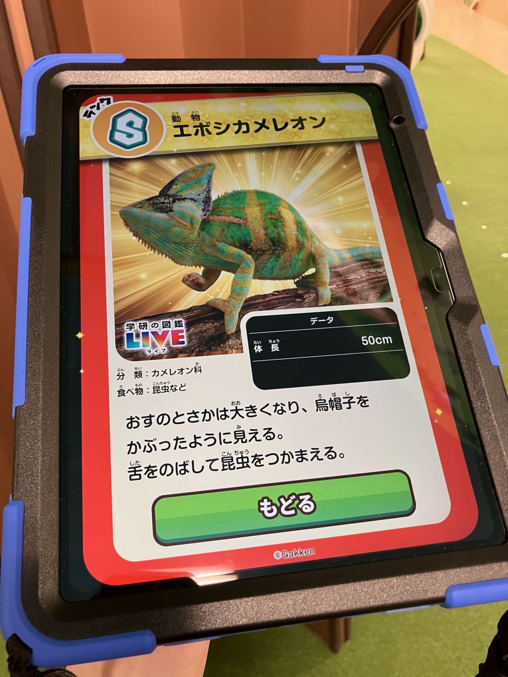 いきものレスキュー キミだけ図鑑