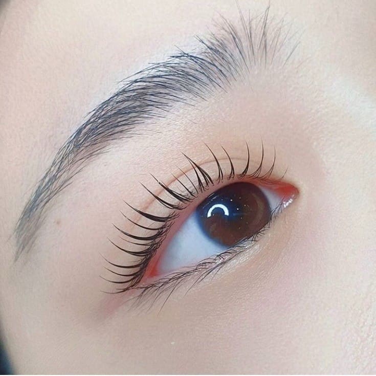KANGOL BEAUTY SALON Eyelash